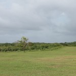 LLANOS ALUVIALES DE LA RESERVA HACIENDA ESPERANZA(1)