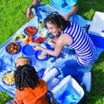 VERANO COMIDA AL AIRE LIBRE EVITE CONTAMINACION