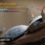 #VotaPorEcuador01