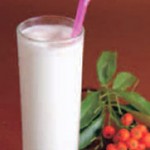 COMIDA GRANOZADO DE HORCHATA