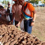 EL ALCALDE CARLOS MOLINA INSPECCIONANDO LAS COSECHAS