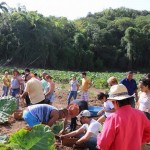 RECOGIENDO LOS FRUTOS DE LA TIERRA