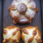 pan mexico, maria 044