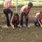 COSECHANDO LA TIERRA