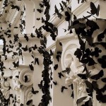 MARIPOSAS NEGRAS