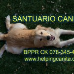 SANTUARIO CANITA Y EL # DE CUENTA