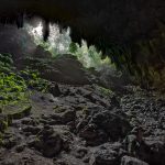 cuevas del rio camuy