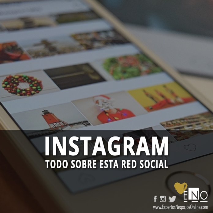 Marketing para todos Cómo aprovechar Instagram en tu pequeño negocio Ahora News