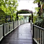 Australia Townsville Billabong Sanctuary