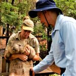 Australia Townsville Billabong Sanctuary Humberto with Reuben the wombat and guide Tabatha