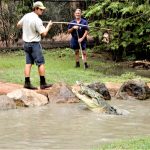 Australia Townsville Billabong Sanctuary croc eying chicken nuevo