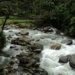 La minería ilegal contamina las aguas de los ríos amazónicos.