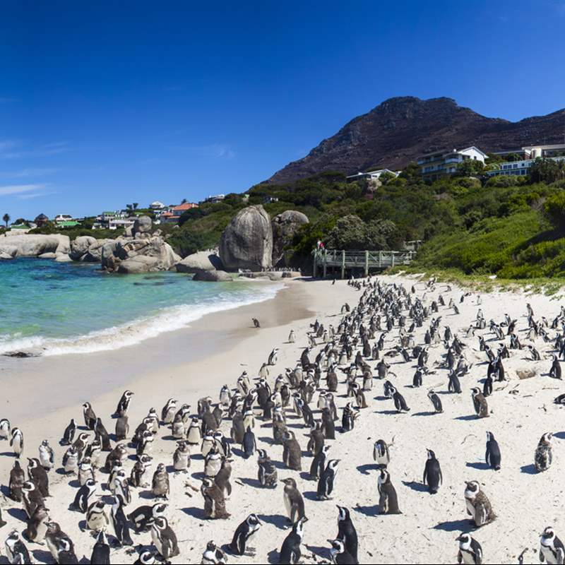 Exótica y excitante Ciudad del Cabo, Sudáfrica Ahora News